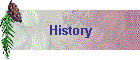 History