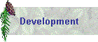 Development