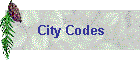City Codes