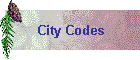 City Codes